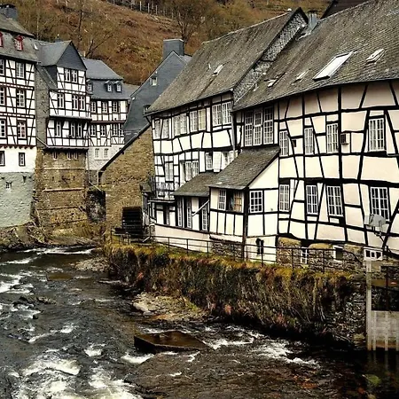 Cherry Trees In Blossom