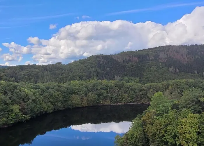 Cherry Trees In Blossom *