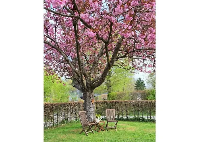 Ferienhaus Cherry Trees In Blossom