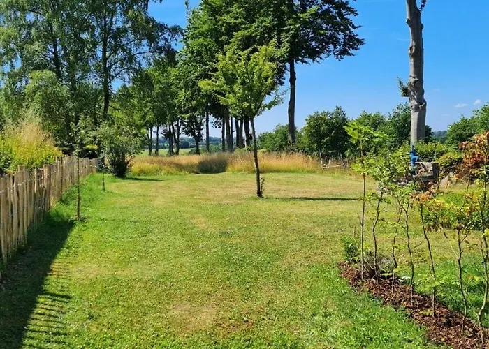 Cherry Trees In Blossom Monschau