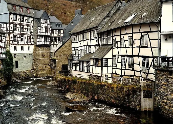 Cherry Trees In Blossom